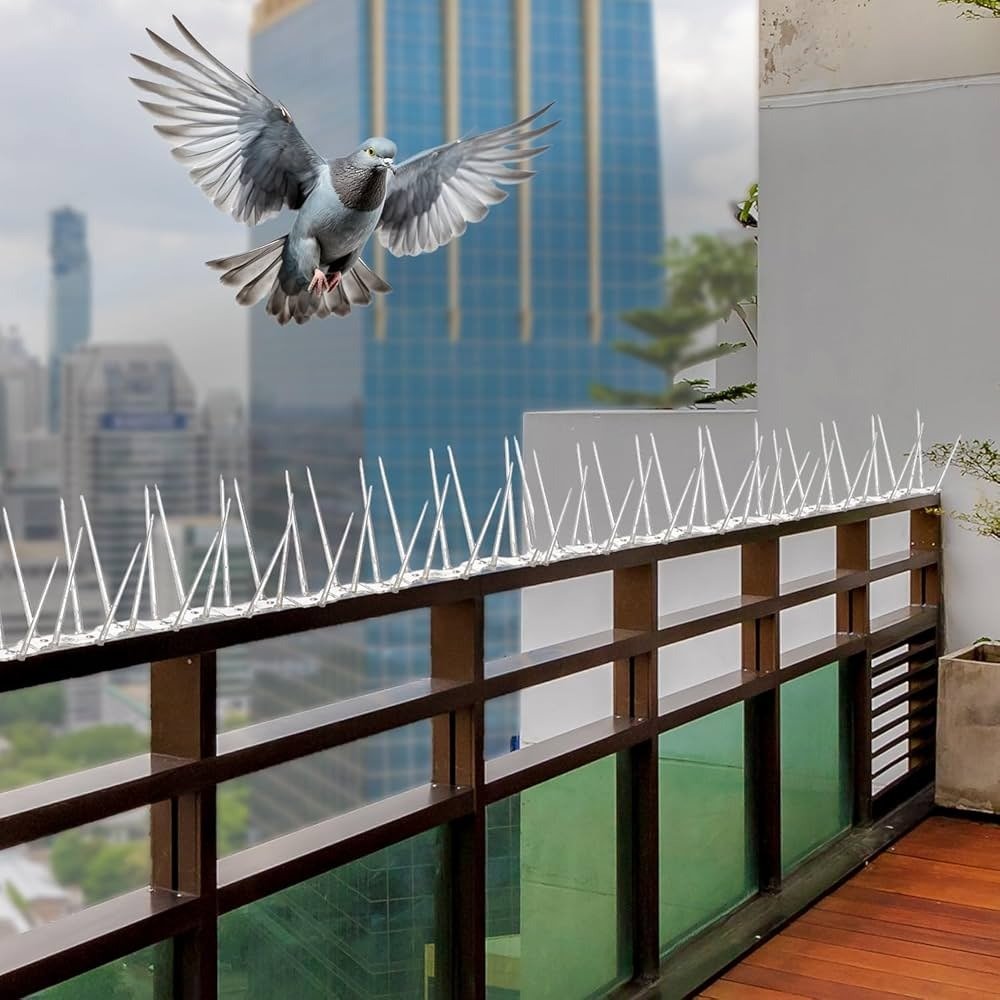 Bird Spikes